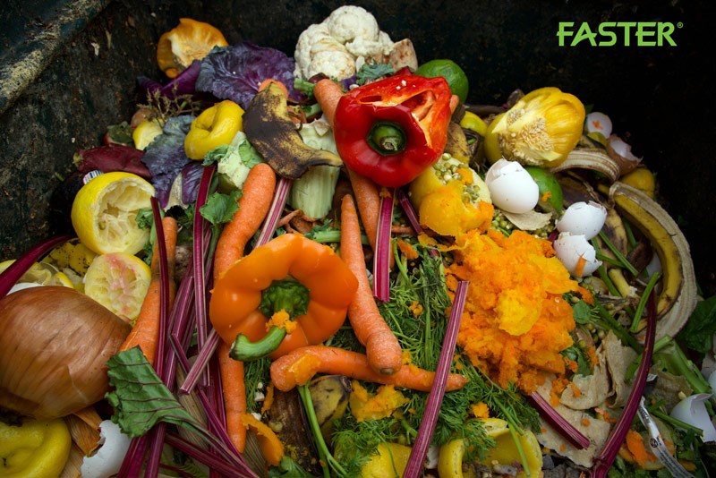 Tác hại rác hữu cơ tới con người